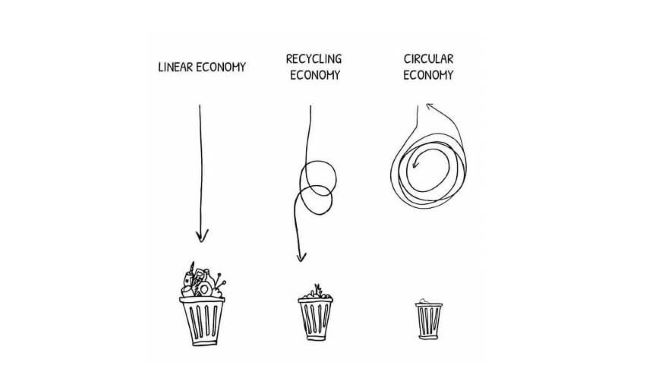 linear versus circular green economy