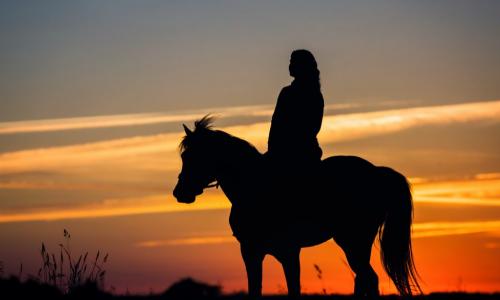 silhouette of woman riding horse slowly at sunset 