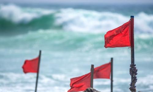red flags on the beach