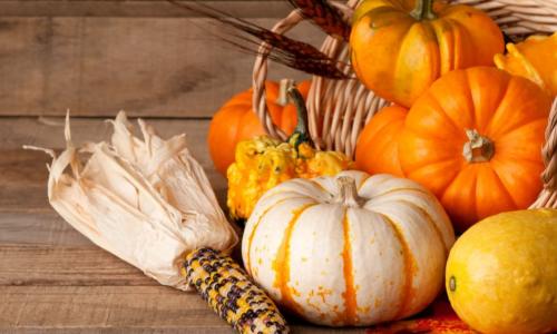 pumpkins squash corn cornucopia
