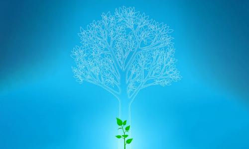 illustration of a sapling growing from a mound of dirt with a dotted outline of a future large leafy tree towering behind it