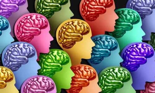 illustration colorful heads brains