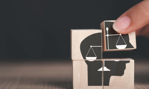 four small blocks that when placed together show an illustration of a human head and the scales law symbol