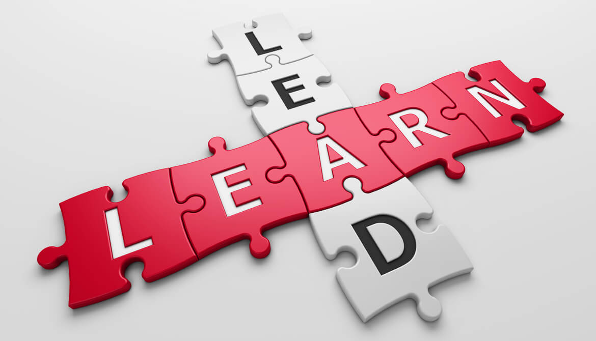 puzzle pieces spelling out lead and learn