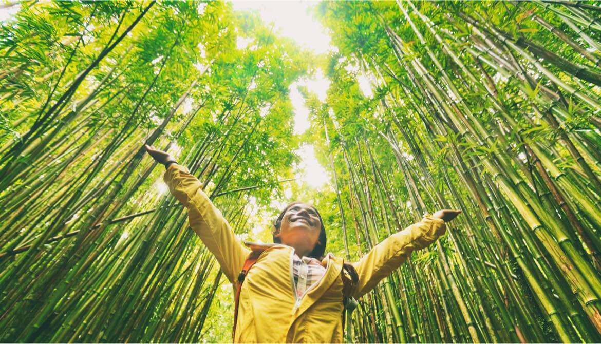 smiling woman in yellow coat holding out arms in a growing green bamboo forest