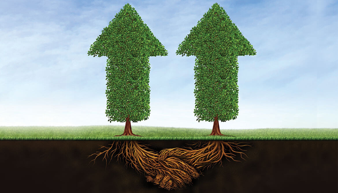two green topiary trees in the shape of arrows pointing upward with underground roots entwined in a handshake