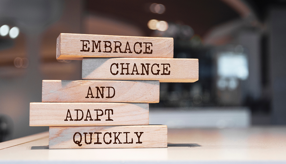 building blocks with the words embrace, change, and adapt quickly on them