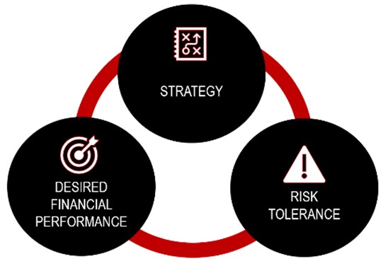 strategy risk financial performance