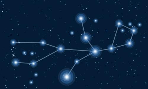 Pisces zodiac constellations sign with forest landscape silhouette on beautiful starry sky with galaxy and space behind. 