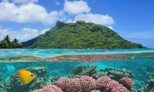 Lush green volcanic island rising above the sea and a colorful coral reef and fish below the surface of the water