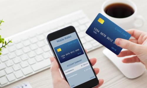 person holds credit card and mobile phone with mobile wallet open