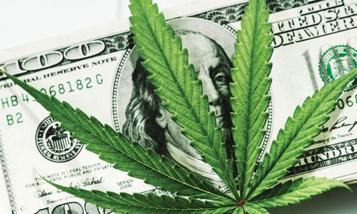 Marijuana leaf laying on top of a $100 bill
