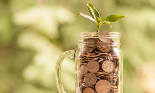 plant growing in savings coins in a jar