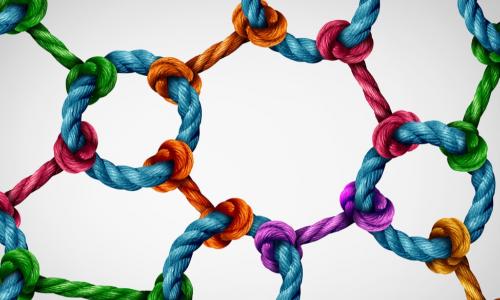 web of integrated colored ropes