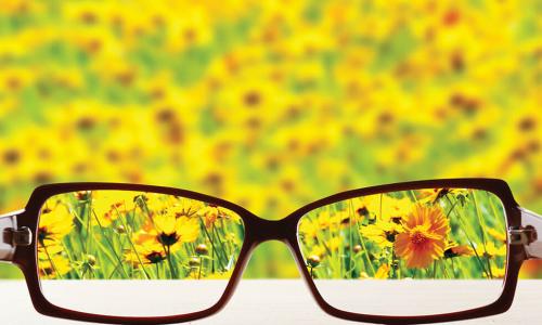 looking through prescription glasses at field of yellow flowers