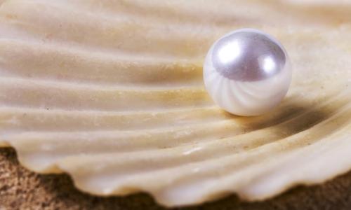 pearl on shell on beach