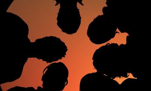 silhouettes of a team of people looking down together in front of an orange sky