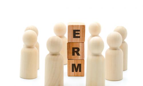  Wooden figures as business team in circle around acronym ERM Enterprise Risk Management