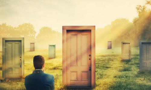 illustration of man with back to camera pondering a choice of many doorways standing in a sunny field