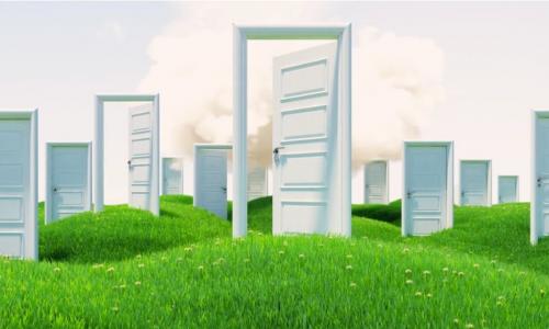 many white doors with just two doors open in a green grassy field