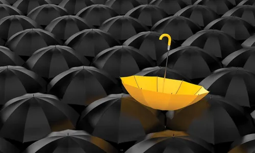 yellow umbrella upside down on a field of open black umbrellas