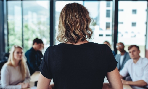 Rear view of a businesswoman addressing a meeting in office