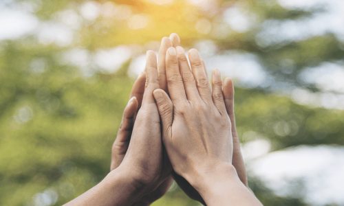 four hands meeting together in a high-five clap